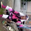 2016 Impressionen